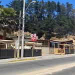 Hermoso Y Nuevo Departamento En Algarrobo Norte