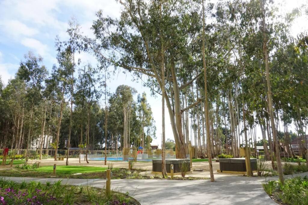 Apartamento Hermoso Y Nuevo Departamento En Norte *