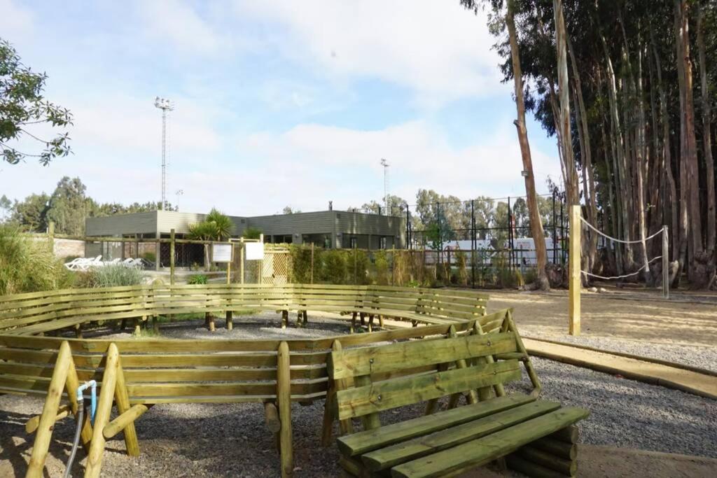 Hermoso Y Nuevo Departamento En Norte * Algarrobo